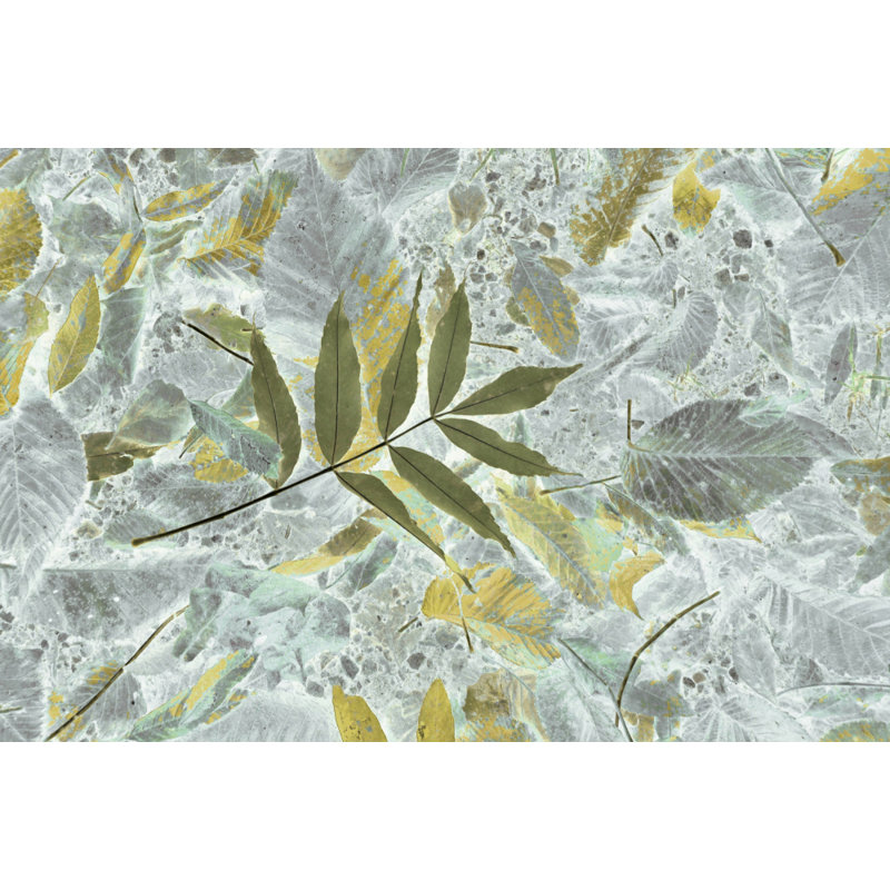 Wrapped Canvas Print, 50.8 cm H x 76.2 cm W