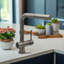 Lulani Nassau Pull Out Kitchen Faucet-86768821