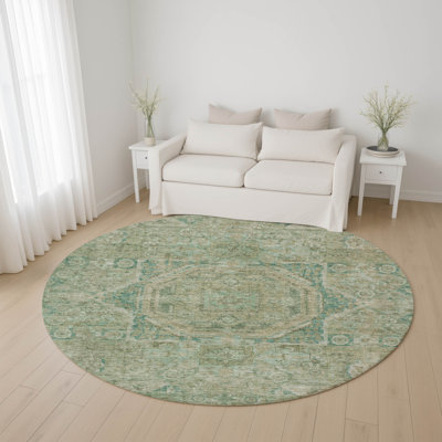 Premium Machine Washable Lubbers AMF1743 Global Rug