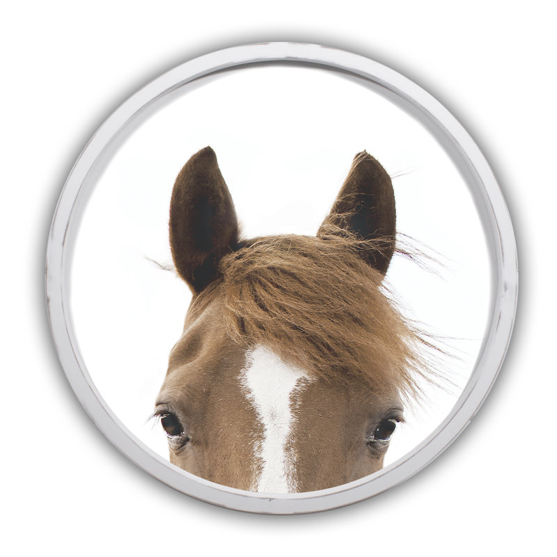 " Wild Horse Photograph ", White Framed