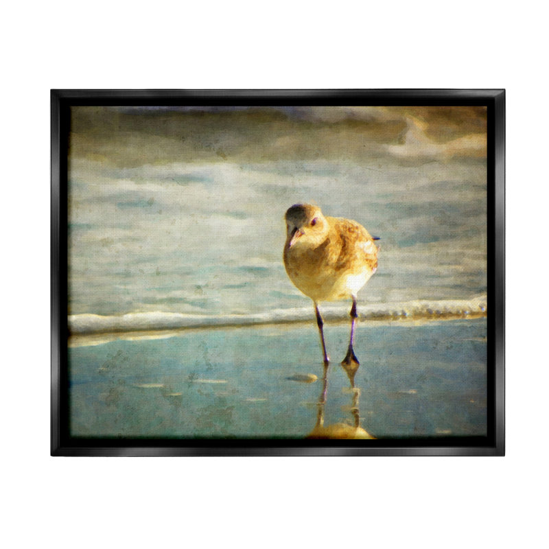 "Stepping Sandpiper at Shore", art mural sur toile flottante par GraffiTee Studios, H 25 po x l 31 po