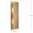 Caidenn Wall Sconce