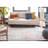 Blanchard Performance Oriental Rug-1932485795