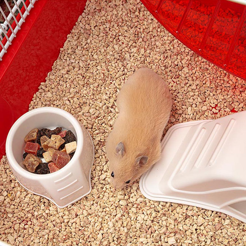 Hamster Cage