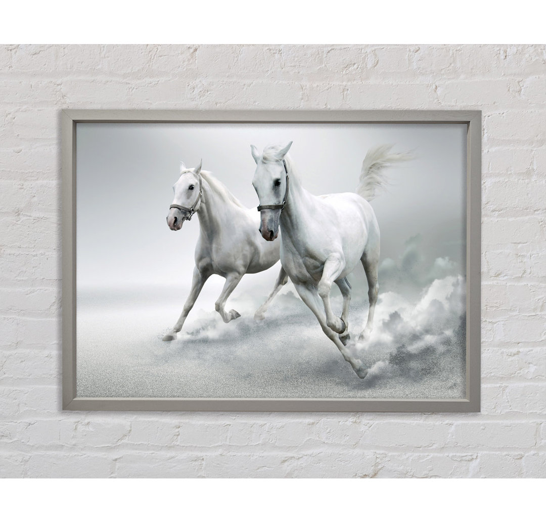 White Duo Horses - Einzelner Bilderrahmen Kunstdrucke auf Leinwand