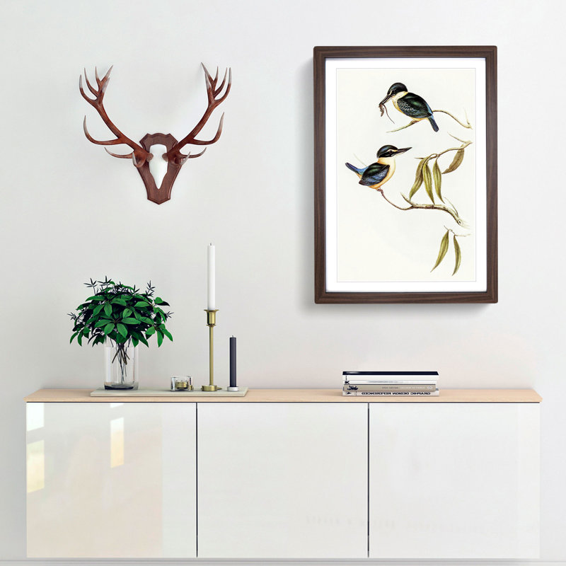 Sacred Halcyon Kingfishers by Elizabeth Gould - Picture Frame Painting Print, 48cm H x 36cm W x 2cm D, Walnut Framed