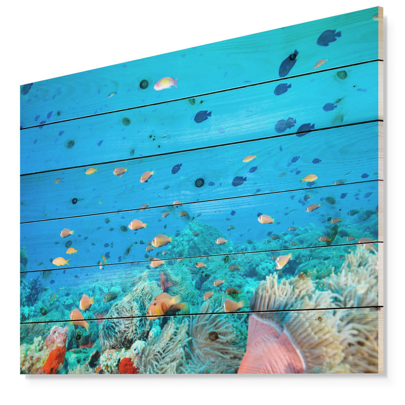« colonie of maldives anemone fish », impression, H 36 po x l 46 po x P 1,5 po, Bois