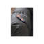 Fauteuil inclinable Vytas-283772546