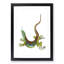 Great-Spotted Lizard by George Shaw - Picture Frame Painting Print-55620706-55620704