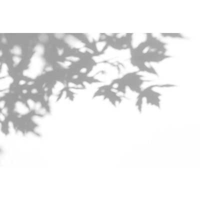 Shadow Of The Leaves by Gadost - Wrapped Canvas Print