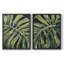 Reproduction encadrée Nocturnal Monstera I-Premium - prête à être accrochée - aucun clou requis - aucun clou requis-280901697-280901705