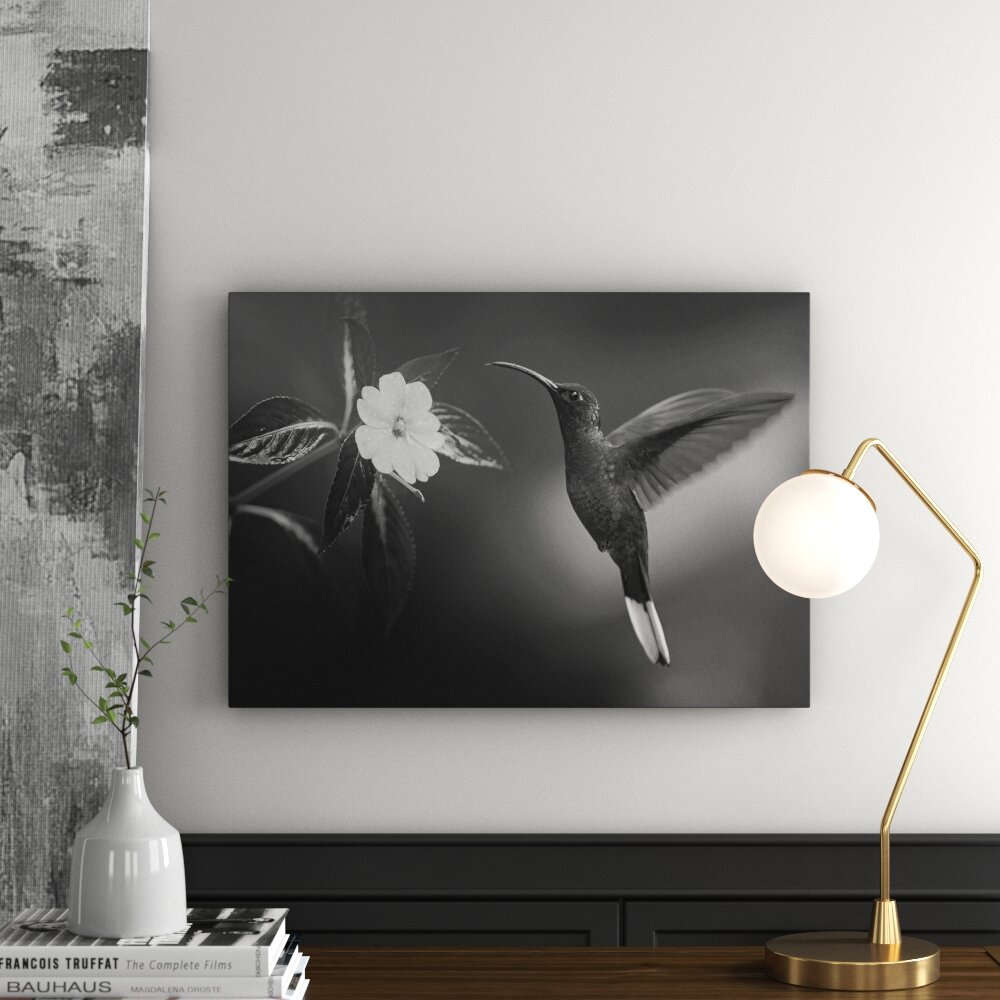 Leinwandbild „Natur - Kolibri - Blume“, Fotodruck