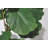 Faux Plants Artificial Tree 61'' Tall Fiddle Leaf Fig Tree in Black Pot Indoor for Home Office Décor