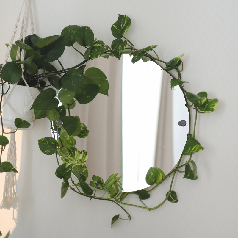 Miroir de meuble-lavabo biseauté sans cadre Freyja, Gris mat, 29" H x 21" W