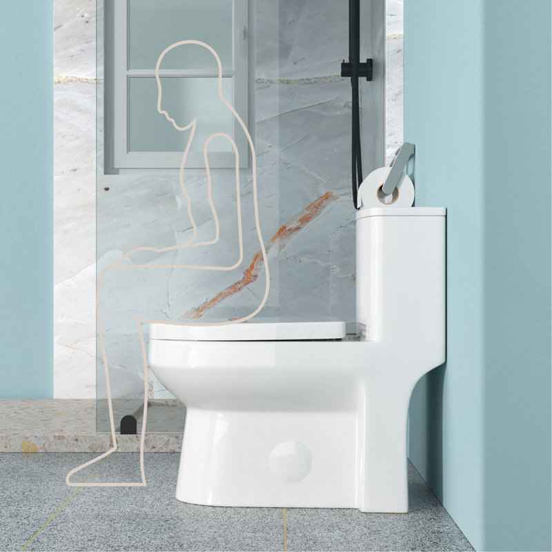 Toilette monobloc en céramique pour salle de bain, brute de 12 po, 1,1 / 1,6 GPF, double chasse avec siège à fermeture en douceur, double chasse puissante CARTE 800 g