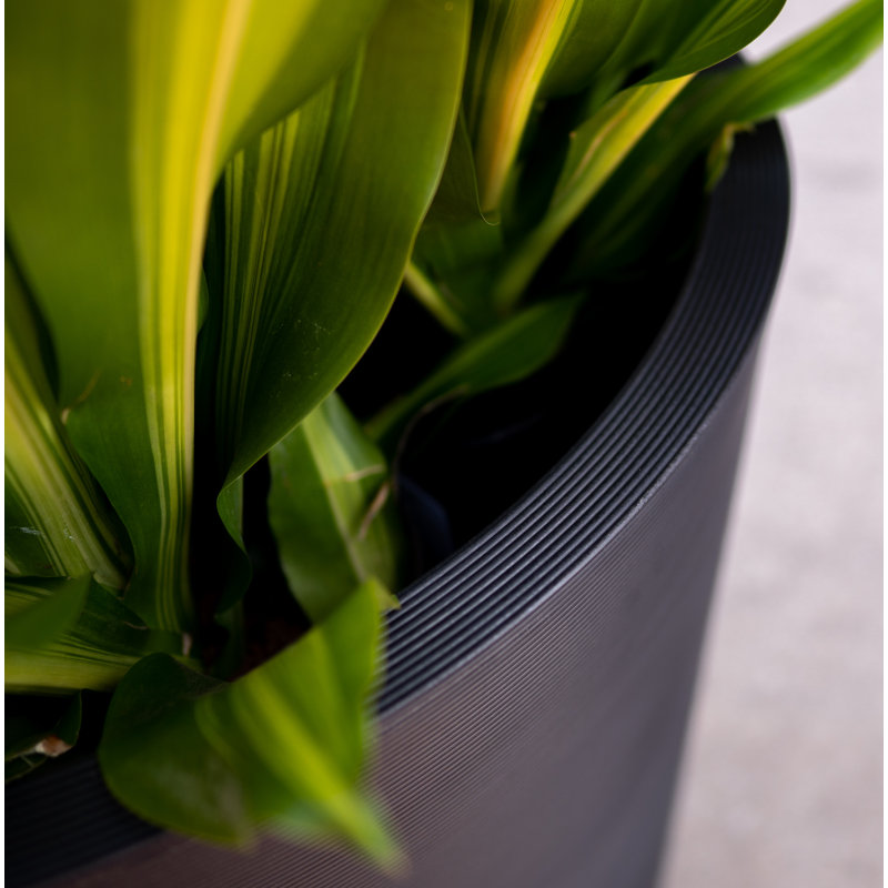 Pot à fleurs Pro Series Curve Thirty, Noir