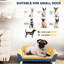 Lit pour chien orange, coussin souple amovible, housse lavable, planche multicouche solide, planchers antidérapants, petit confort idéal, fabrication de planche, design,