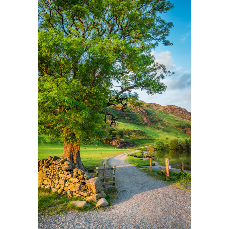 «District Lake» par Shaiith - Photographie sur toile tendue, H 30 po x l 20 po