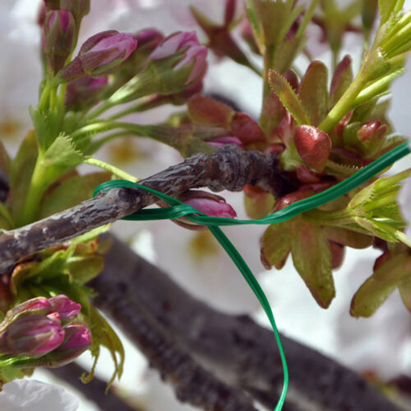 800 petits attaches de jardin vertes pré-coupées