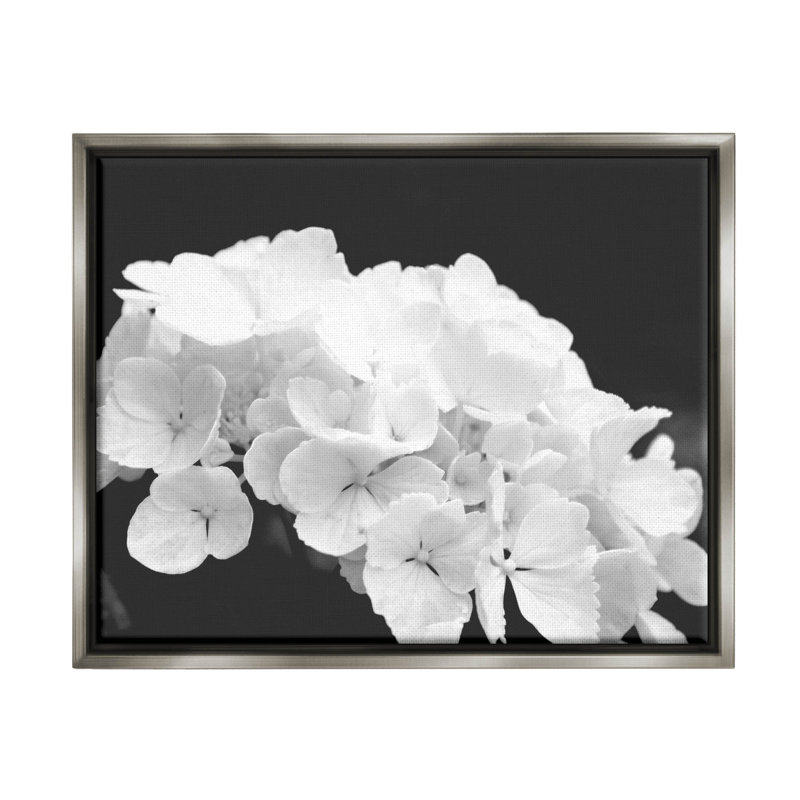 «Delicate White Hydrangea Petals» par Lil 'Rue, H 17 po x l 21 po x P 1,7 po, Cadre flottant gris lustré