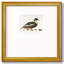 Golden Mallard - reproduction de cadre photo simple-87965421