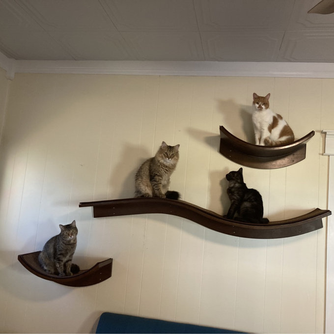 Lotus Branch Cat Perch - Mahogany, Right Facing