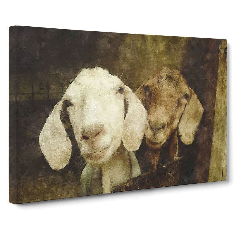 Pair Of Goats - Wrapped Canvas Painting, 35cm H x 50cm W x 3cm D