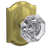 Satin Brass