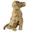 Chien jacinthe d'eau Sona