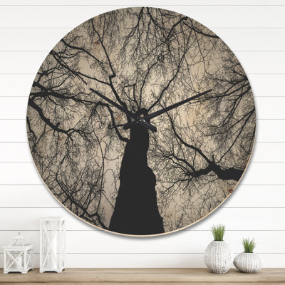 Horloge murale Hoto of Winter Branches