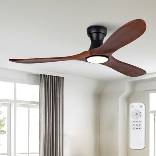 Ceiling Fans With Lights