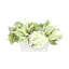 Hydrangea and Heather Arrangement-973363099