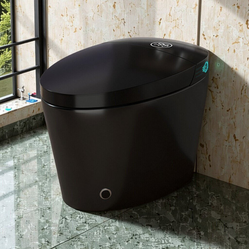 Toilette Smart Bidet avec siège chauffant, lavage à l'eau chaude, chasse automatique, veilleuse, installation brute de 12 po