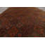 Tapis intérieur / extérieur rectangulaire 4 pi x 6 pi Stepahnie