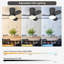 65cm Ceiling Fan with LED Lights-1402518472-1402518455