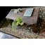 Table basse Rustic Waterfall Live Edge