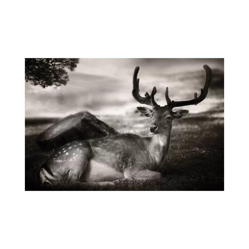 Resting Bambi 1 Piece Wrapped Canvas Wall Art, 101.6 cm H x 66.04 cm W x 1.91 cm D