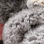 Tapis à poils longs texturé épais et doux Cobina Holland-63453263