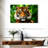 Sumatran Tiger Gaze-107471455