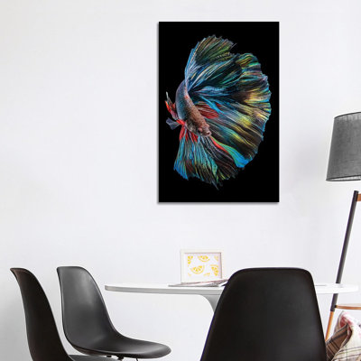 «The Betta Fish» par Andi Halil - photographie sur toile tendue