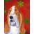 Basset hound 5