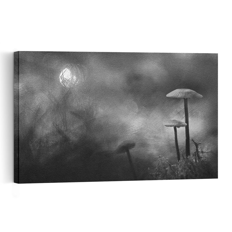 Champignons de la forêt brumeuse, délicate forêt de mousse onirique et éthérée, impression d'art mural nature, 40" H x 60" W