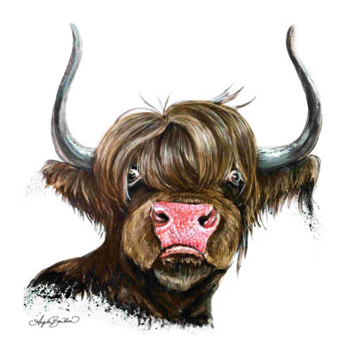 2882701_Clarabelle La vache Highland