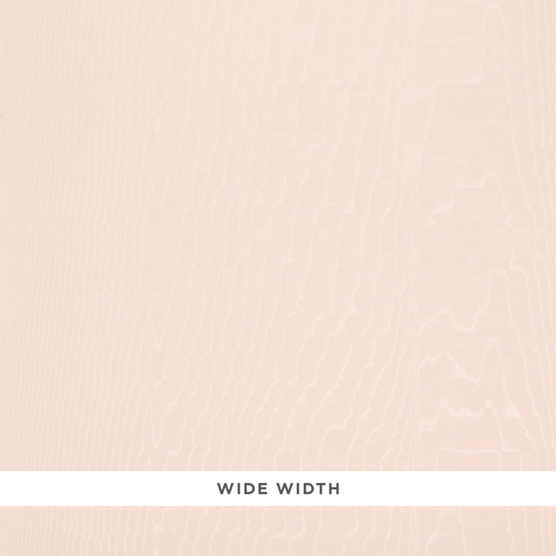 Moiré Wallpaper, Rose