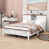 White Brown is out of stock