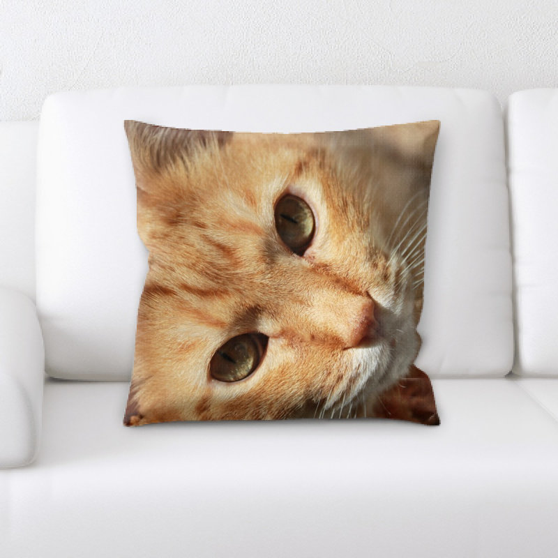 Coussin pour chat