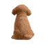 Animals Weather Resistant Polyresin Garden Statue