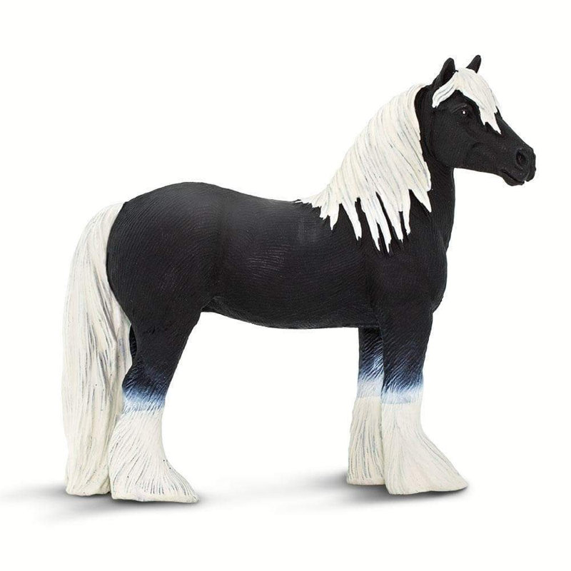 Étalon Gypsy Vanner