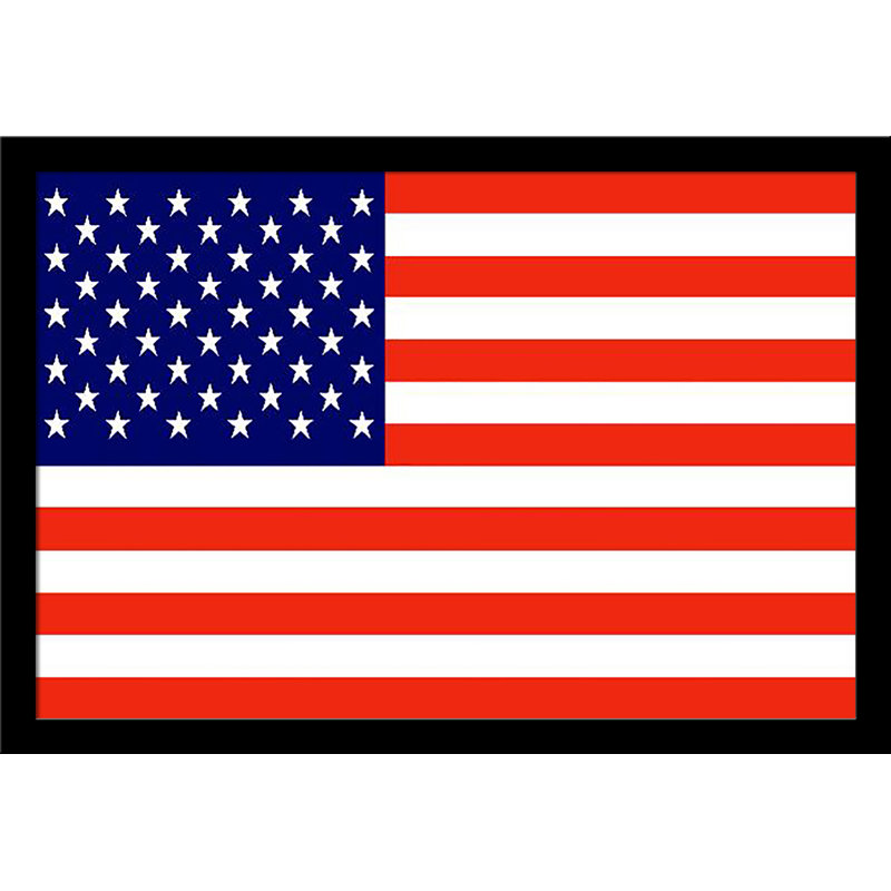 États-Unis d’Amérique-impression sur papier encadrée-impression d’art graphique, H 26,5 po x l 38,5 po x P 1,25 po