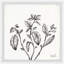 Mint Leaves - Single Picture Frame Print-1344307484